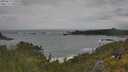 ./images/calvert/foggy-cove/20250619/foggy-cove20250619_140510M.jpg