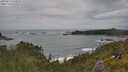 ./images/calvert/foggy-cove/20250619/foggy-cove20250619_144010M.jpg
