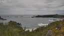 ./images/calvert/foggy-cove/20250619/foggy-cove20250619_145507M.jpg