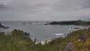 ./images/calvert/foggy-cove/20250619/foggy-cove20250619_151010M.jpg