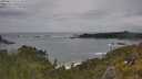 ./images/calvert/foggy-cove/20250619/foggy-cove20250619_151510M.jpg