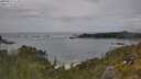 ./images/calvert/foggy-cove/20250619/foggy-cove20250619_152008M.jpg