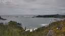 ./images/calvert/foggy-cove/20250619/foggy-cove20250619_152508M.jpg