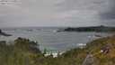 ./images/calvert/foggy-cove/20250619/foggy-cove20250619_160012M.jpg