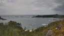 ./images/calvert/foggy-cove/20250619/foggy-cove20250619_160507M.jpg