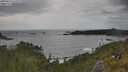 ./images/calvert/foggy-cove/20250619/foggy-cove20250619_161509M.jpg