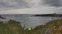 ./images/calvert/foggy-cove/20250619/foggy-cove20250619_162510M.jpg