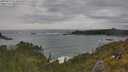 ./images/calvert/foggy-cove/20250619/foggy-cove20250619_164010M.jpg
