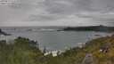 ./images/calvert/foggy-cove/20250619/foggy-cove20250619_164510M.jpg
