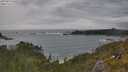 ./images/calvert/foggy-cove/20250619/foggy-cove20250619_165010M.jpg