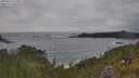 ./images/calvert/foggy-cove/20250619/foggy-cove20250619_171009M.jpg