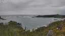 ./images/calvert/foggy-cove/20250619/foggy-cove20250619_172508M.jpg