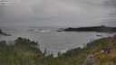 ./images/calvert/foggy-cove/20250619/foggy-cove20250619_175507M.jpg