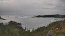 ./images/calvert/foggy-cove/20250619/foggy-cove20250619_182509M.jpg