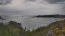 ./images/calvert/foggy-cove/20250619/foggy-cove20250619_183507M.jpg