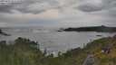 ./images/calvert/foggy-cove/20250619/foggy-cove20250619_184510M.jpg