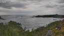 ./images/calvert/foggy-cove/20250619/foggy-cove20250619_185010M.jpg