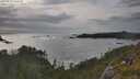 ./images/calvert/foggy-cove/20250619/foggy-cove20250619_191509M.jpg