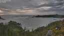 ./images/calvert/foggy-cove/20250619/foggy-cove20250619_195009M.jpg