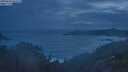 ./images/calvert/foggy-cove/20250620/foggy-cove20250620_043509M.jpg