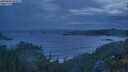./images/calvert/foggy-cove/20250620/foggy-cove20250620_044508M.jpg