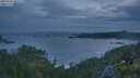 ./images/calvert/foggy-cove/20250620/foggy-cove20250620_045508M.jpg