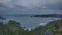 ./images/calvert/foggy-cove/20250620/foggy-cove20250620_050507M.jpg