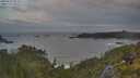 ./images/calvert/foggy-cove/20250620/foggy-cove20250620_053508M.jpg