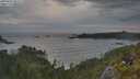 ./images/calvert/foggy-cove/20250620/foggy-cove20250620_055508M.jpg