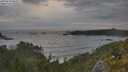 ./images/calvert/foggy-cove/20250620/foggy-cove20250620_060011M.jpg