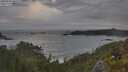 ./images/calvert/foggy-cove/20250620/foggy-cove20250620_060508M.jpg