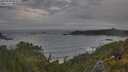 ./images/calvert/foggy-cove/20250620/foggy-cove20250620_061009M.jpg