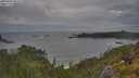 ./images/calvert/foggy-cove/20250620/foggy-cove20250620_063510M.jpg