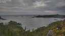 ./images/calvert/foggy-cove/20250620/foggy-cove20250620_065011M.jpg