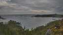 ./images/calvert/foggy-cove/20250620/foggy-cove20250620_070011M.jpg