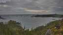 ./images/calvert/foggy-cove/20250620/foggy-cove20250620_070510M.jpg