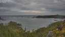 ./images/calvert/foggy-cove/20250620/foggy-cove20250620_071510M.jpg