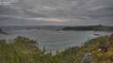 ./images/calvert/foggy-cove/20250620/foggy-cove20250620_072010M.jpg