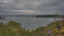 ./images/calvert/foggy-cove/20250620/foggy-cove20250620_072510M.jpg