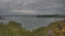 ./images/calvert/foggy-cove/20250620/foggy-cove20250620_073010M.jpg