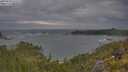 ./images/calvert/foggy-cove/20250620/foggy-cove20250620_073509M.jpg