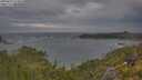 ./images/calvert/foggy-cove/20250620/foggy-cove20250620_074010M.jpg