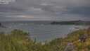 ./images/calvert/foggy-cove/20250620/foggy-cove20250620_074508M.jpg