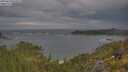 ./images/calvert/foggy-cove/20250620/foggy-cove20250620_075010M.jpg