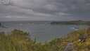 ./images/calvert/foggy-cove/20250620/foggy-cove20250620_080010M.jpg