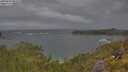 ./images/calvert/foggy-cove/20250620/foggy-cove20250620_081010M.jpg