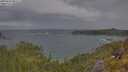 ./images/calvert/foggy-cove/20250620/foggy-cove20250620_081511M.jpg