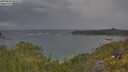 ./images/calvert/foggy-cove/20250620/foggy-cove20250620_082010M.jpg