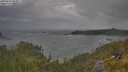 ./images/calvert/foggy-cove/20250620/foggy-cove20250620_083011M.jpg