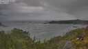 ./images/calvert/foggy-cove/20250620/foggy-cove20250620_083507M.jpg